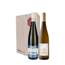 Kit Gewurztraminer (2bt)