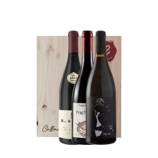 Kit Pinot Noir Langhe-Trentino-Oltrep (3bt)