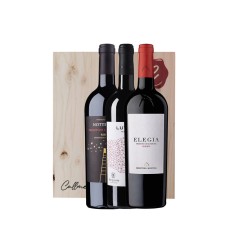 Kit Primitivo di Manduria (3bt)