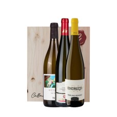 Kit Riesling (3bt)