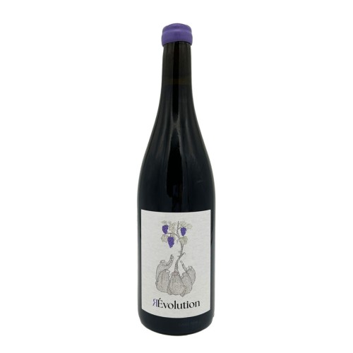 Malbec 'R-Evolution' Oenosapiens 2022