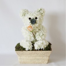 Flower Teddy Bear
