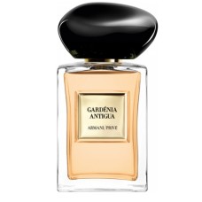GARDENIA ANTIGUA