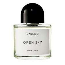 OPEN SKY