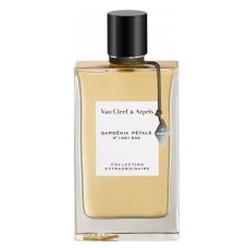 GARDENIA PETALE
