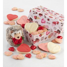 Valentine Plush Gift and Treats