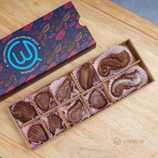 Chocolate Sea Shells Collection - 10 Pcs Box