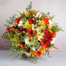 Gerbera Extra Large Bouquet