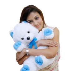 Carl The Teddy With Blue Paws