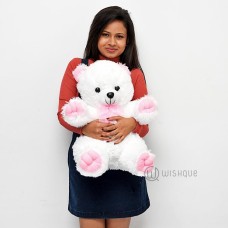 Ellie The Teddy With Pink Paws