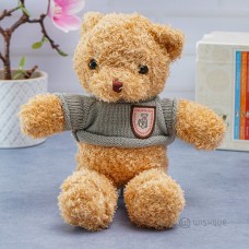 Adorable Cuddle Teddy