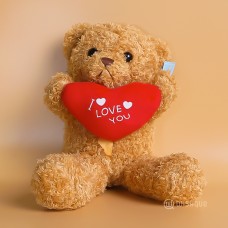 I Love You Teddy Bear