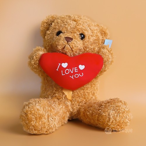 I Love You Teddy Bear