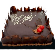 Chocolate Forest 3lbs
