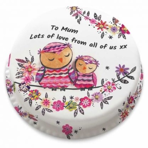 Mother Owl Cake (Small party cake(serves 10-12))