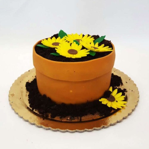 Flower Pot Cake (Eight inch)