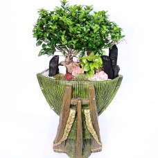 Penda jinsaeng-3 (Medium)
