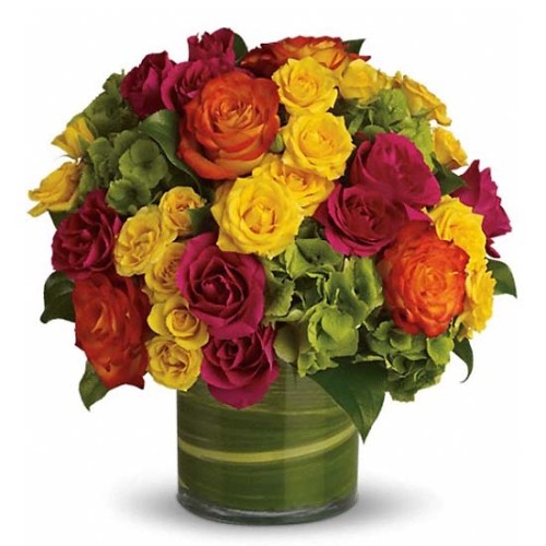 Beauty Bloom-20-Vase Included (Standard(S))