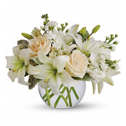 Beauty Bloom-41-Vase Included (Standard(S))