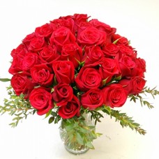 Beauty Bloom-18-1-Vase Included (Standard(S))