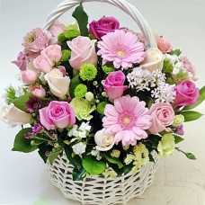 basket18-59 (Standard(S))
