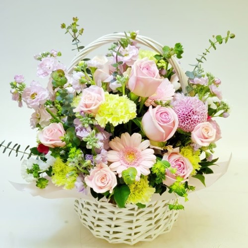 basket18-62 (Standard(S))