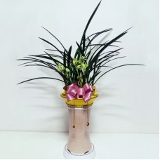 Orchid-Chulgolsosim