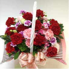 Carnation Basket (Standard(S))