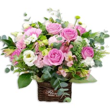 Sweety (Standard)