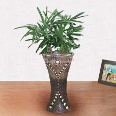 Rhapis (Large)