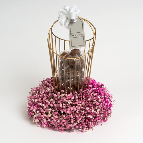 Chocolate Cage 1