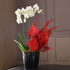 Black & Red Palm