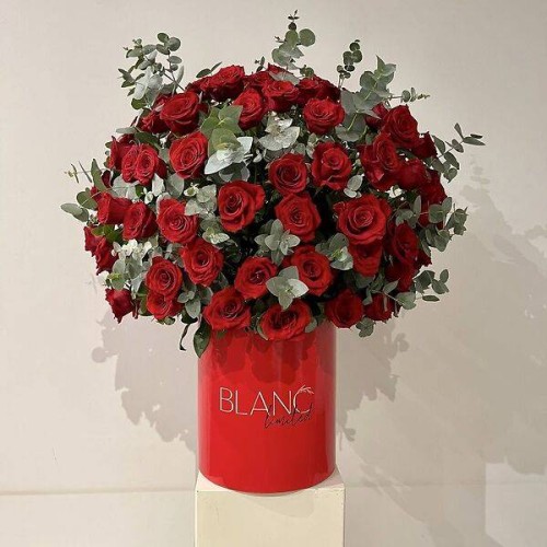 Blanc Limited XL