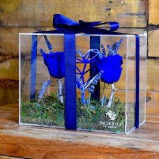 Love Blue