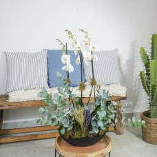 White Green I