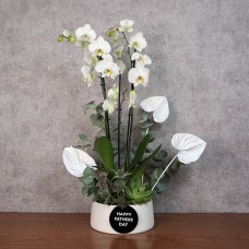 Wild Flowers
