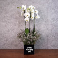 Gardenia