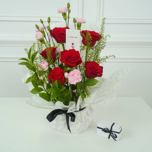 Red Diva 11
