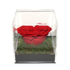 Sweet Love 7