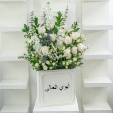 Suhail
