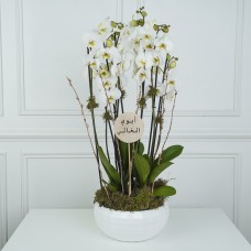 White 1