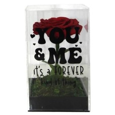 Forever Thing