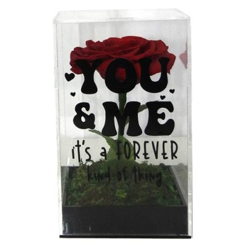 Forever Thing