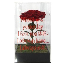 Forever Love