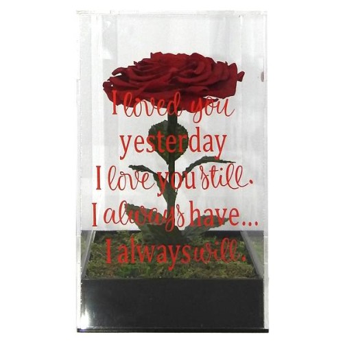 Forever Love