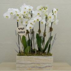 Marble Light