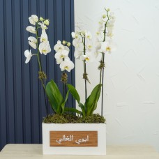White Levan