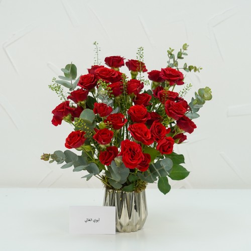 Red Vela 2