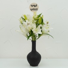 Black Vella 2