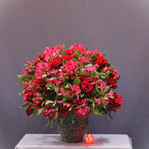 Red Beauty